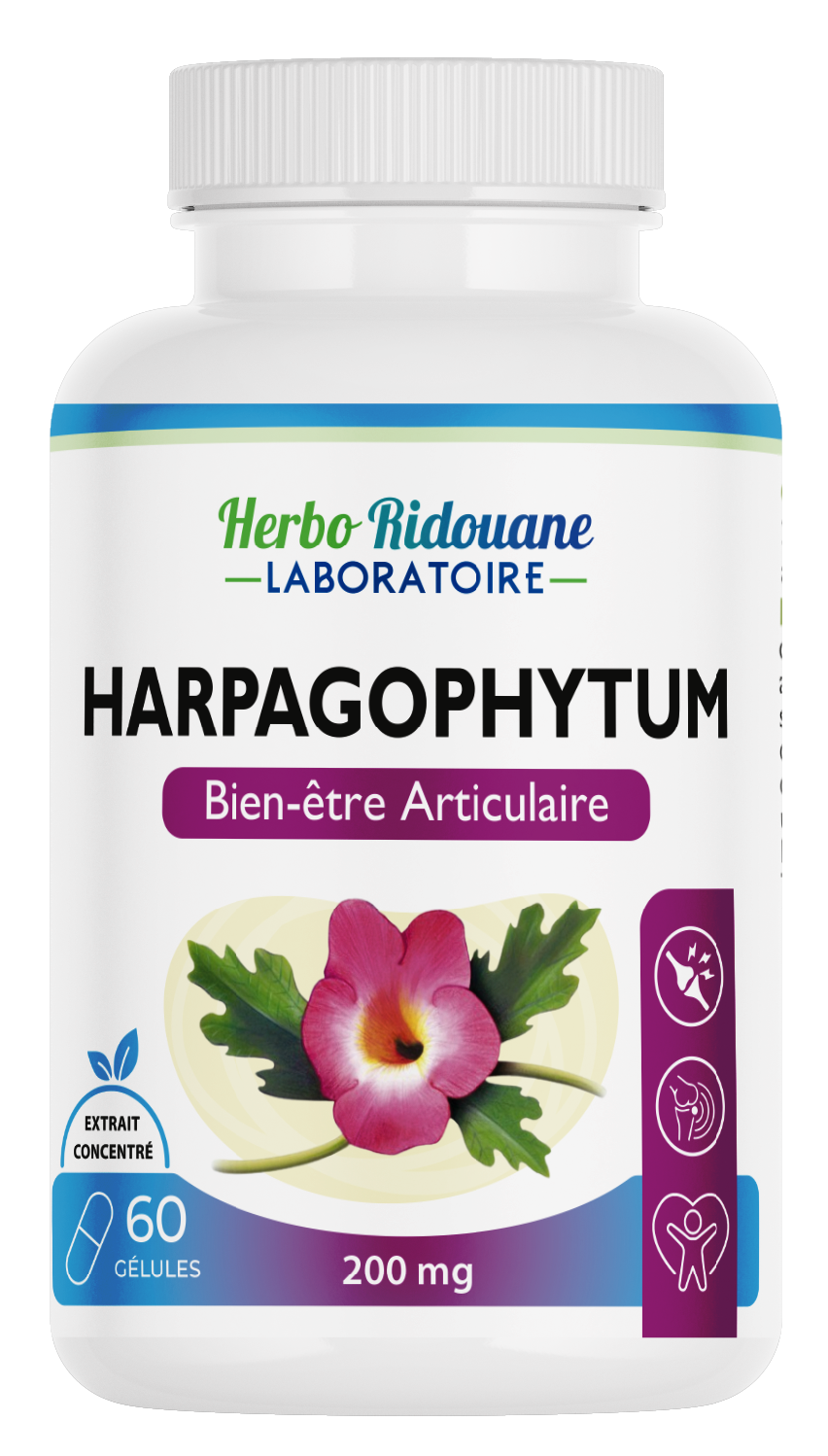 Harpagophytum